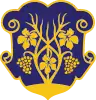 Uzhhorod