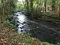 The Cornie Burn