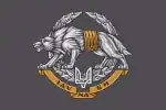 Special Operations Forces