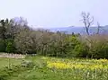 A view north to Chedworth Woods