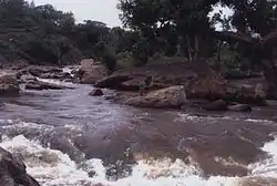 River Pambar