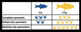 Image 15Table visualising size-symmetric competition, using fish as consumers and crabs as resources. (from Community (ecology))