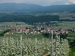 Taio was a comune (municipality) in Trentino in the northern Italian region Trentino-Alto Adige/Südtirol, located about 30 kilometres (19 mi) north of Trento. As of 31 December 2004, it had a population of 2,694 and an area of 11.3 square kilometres